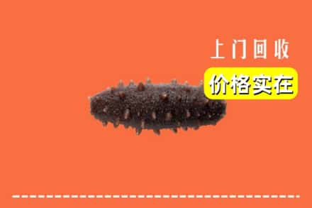 雅安市天全回收海参